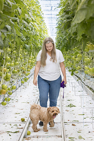 DeRuiter2024_ON_RidgeFarms_250