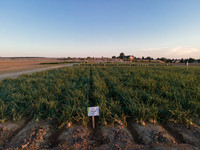 Seminis2022_Idaho_17