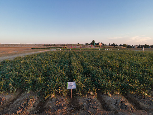 Seminis2022_Idaho_17