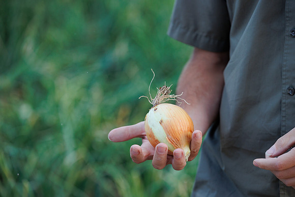 Seminis2022_Idaho_1858
