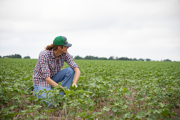 RRXCottonTexas_cdp_5109