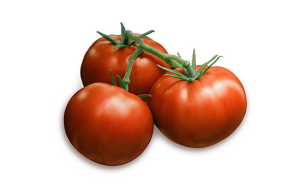 Tomato_DRTH2911_4_2