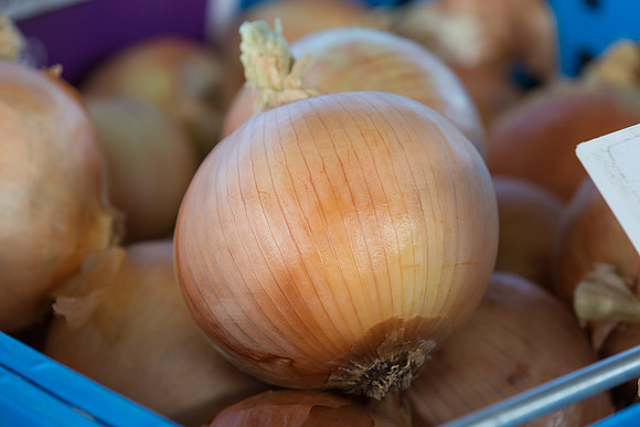 Onion_SV9131NG_CA_0006