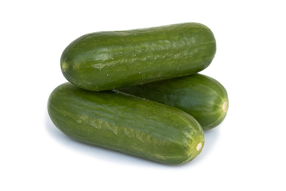 Cucumber_DR7109CB_39