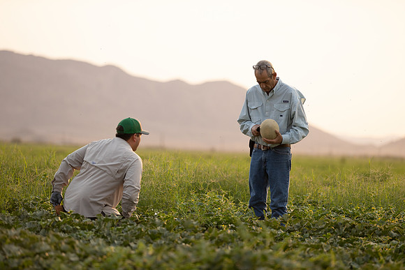 Seminis2021_AZ_1324