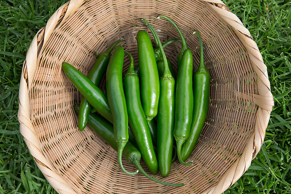 HotPepper_7073_MX_0037