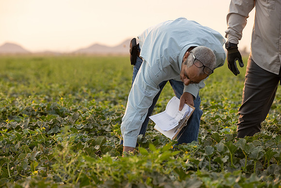 Seminis2021_AZ_1138