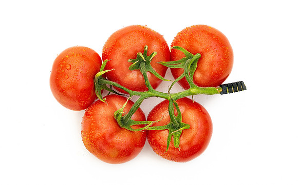 Tomatoes_DRTH1060_43