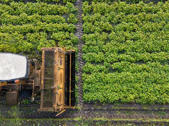 Seminis2022_FL_JEM_3802