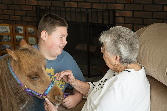AmericasFarmers_HeartlandMiniHorses_324