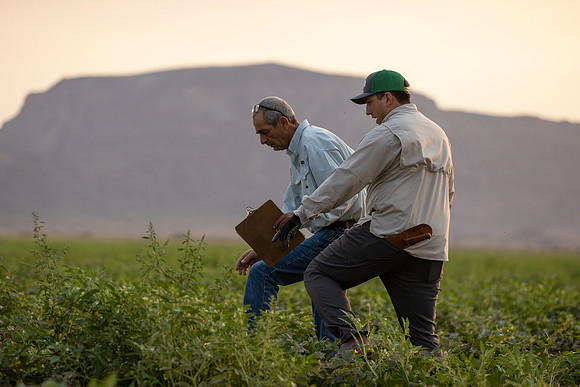 Seminis2021_AZ_1092