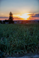 Seminis2022_Idaho_35