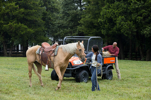 Kubota_RTVX900_CDP2015_0205