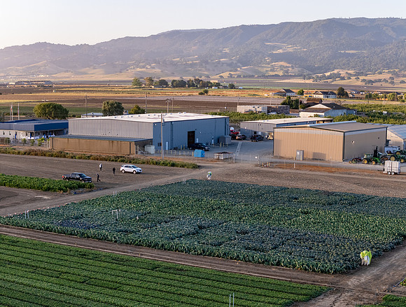 Seminis_SJB_FieldDay2025_19-Pano