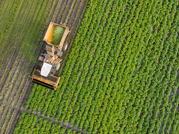 Seminis2022_FL_JEM_3791
