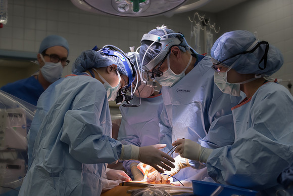 DrHui_CardiacSurgery_625