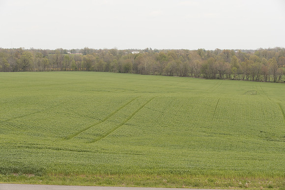 AmericasFarmers_BallardCountyHS_3527