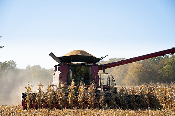 NL_Corn_Harvest_2019_c_67