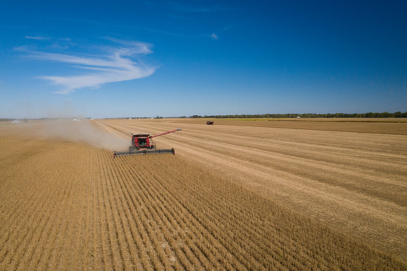 NL_Soybean_Harvest_2019_d_52