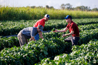 Seminis2022_FL_Bedner_140