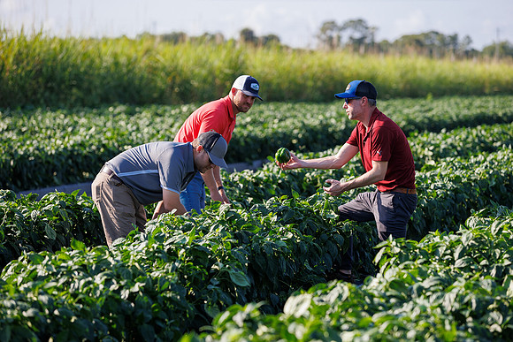 Seminis2022_FL_Bedner_140