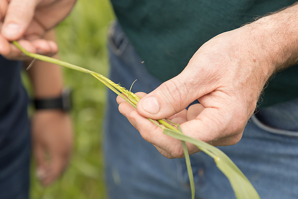 AmericasFarmers_BallardCountyHS_3733