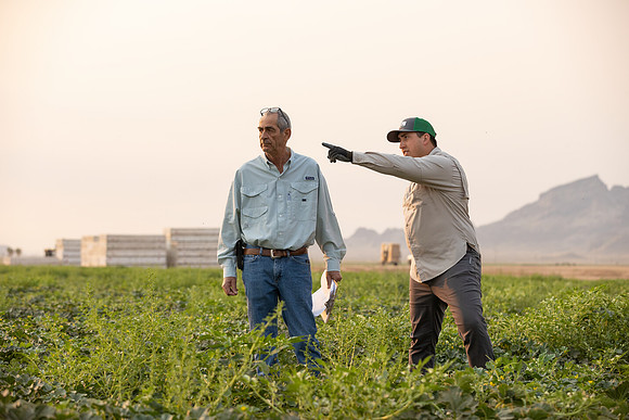 Seminis2021_AZ_1122