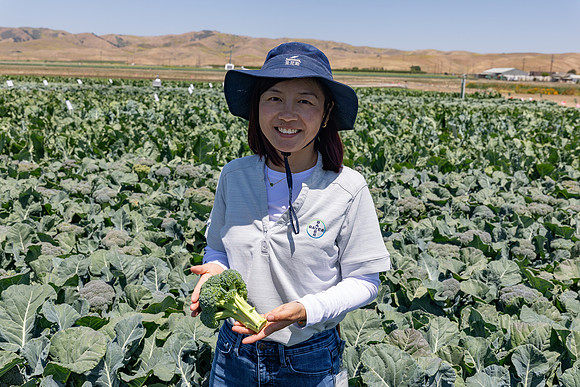 Stratosphere_Brocolli_86