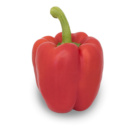 Pepper_Adanson_6