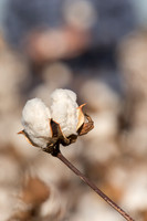 ShelleyHeinrich_0079