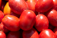 Tomato_SV2493TM_CA_00005