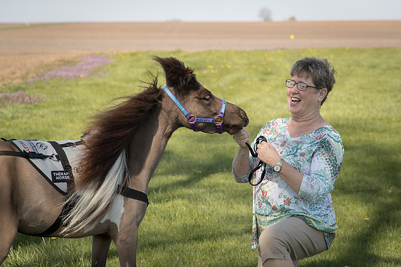 AmericasFarmers_HeartlandMiniHorses_698