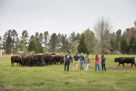 AmericasFarmers_BallardCountyHS_4026