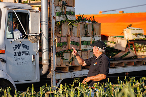 Seminis2022_FL_JEM_958