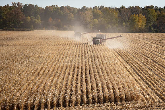 NL_Corn_Harvest_2019_c_400