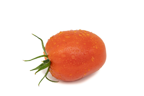 Tomatoes_DRTJ4081_42