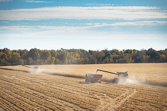 NL_Corn_Harvest_2019_c_348