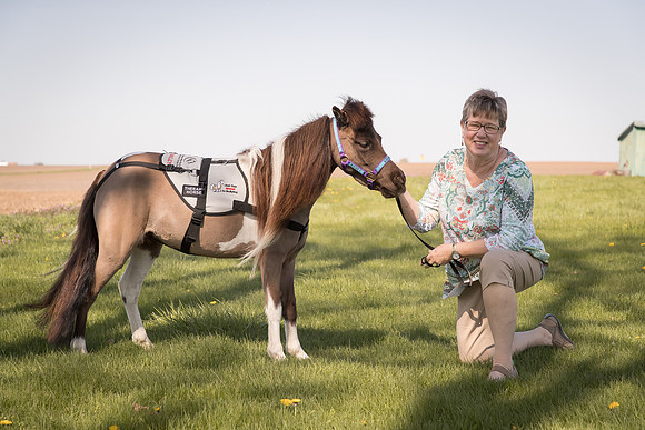 AmericasFarmers_HeartlandMiniHorses_690