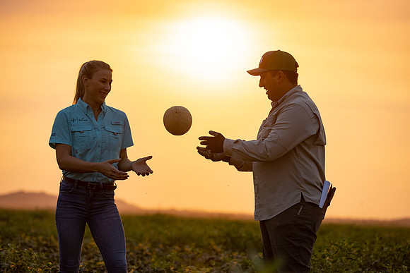 Seminis2021_AZ_649