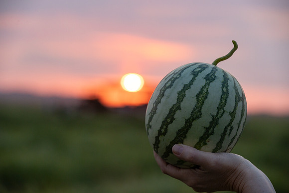 Seminis2021_AZ_31