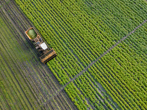Seminis2022_FL_JEM_3798