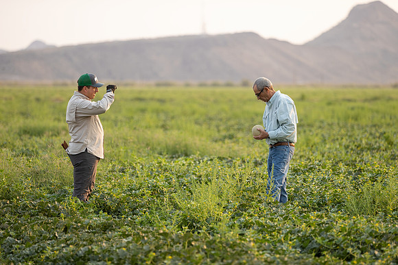 Seminis2021_AZ_1265