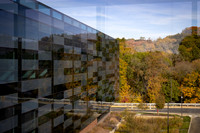 BCS_NA_StL_6712