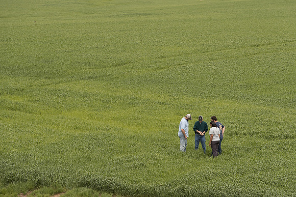 AmericasFarmers_BallardCountyHS_3502