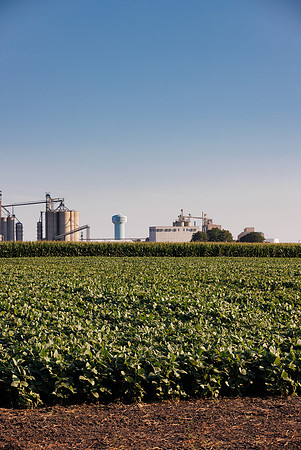 BensonHill_Creston_2022_70