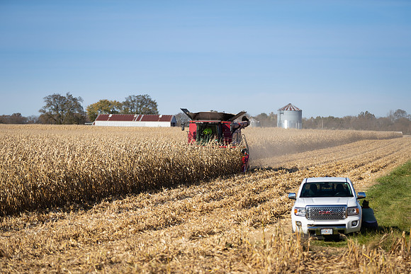 NL_Corn_Harvest_2019_c_33