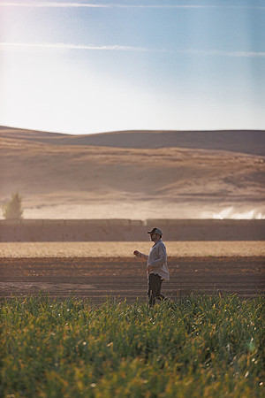 Seminis2022_Idaho_1597