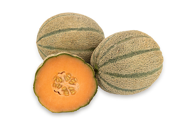 Melon_Arangina_41