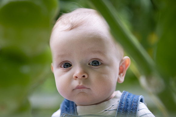 Dante_6mos_38