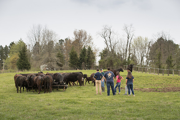 AmericasFarmers_BallardCountyHS_4029